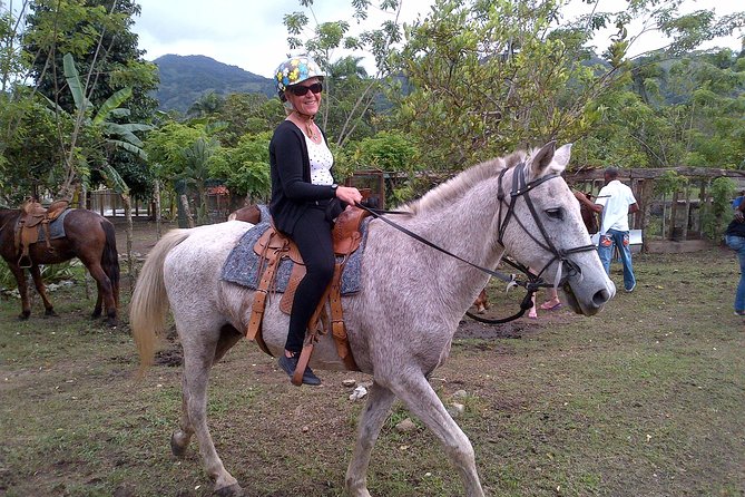 Shore Excursion: V.I.P. DayPass: ATV, Zip Lines, Horseback Riding & Lunch - Who will enjoy this shore excursion most