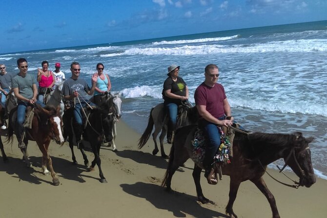 Short Excursion horseback riding tours on the beach and mountain - Key points to know before you ride