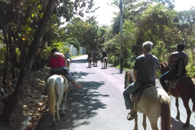 Short Excursion horseback riding tours on the beach and mountain - What two to three hours feels like
