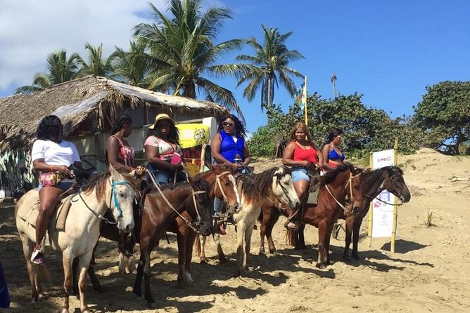 Short Excursion horseback riding tours on the beach and mountain - The guides and the human side of the operation