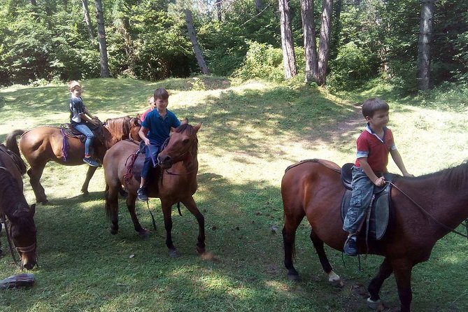 Short Horseback riding - Kolasin - Why the private format helps