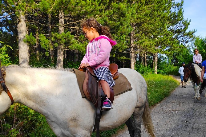 Short Horseback riding - Kolasin - The one-hour value at $68.26