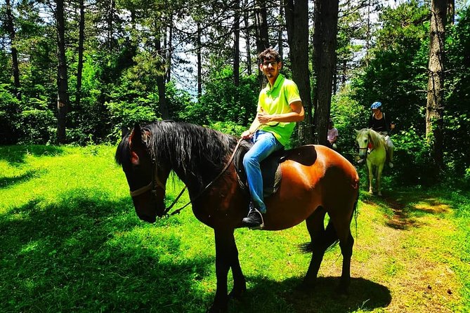 Short Horseback riding - Kolasin - The longer mountain program is a different proposition