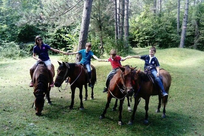 Short Horseback riding - Kolasin - Who should book this ride