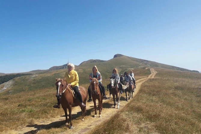 Short Horseback riding - Kolasin - What happens before you ride