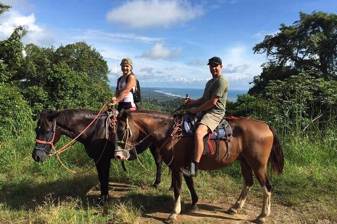 Side Horse Riding On Beach And Through The Forests For 2 Hours - Starting at the farm near Side