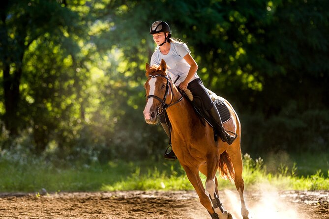 Side Horse Riding On Beach And Through The Forests For 2 Hours - Safety: the point I would take most seriously