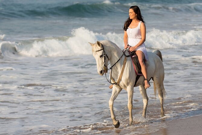 Side Horse Riding On Beach And Through The Forests For 2 Hours - What the $35 price really buys