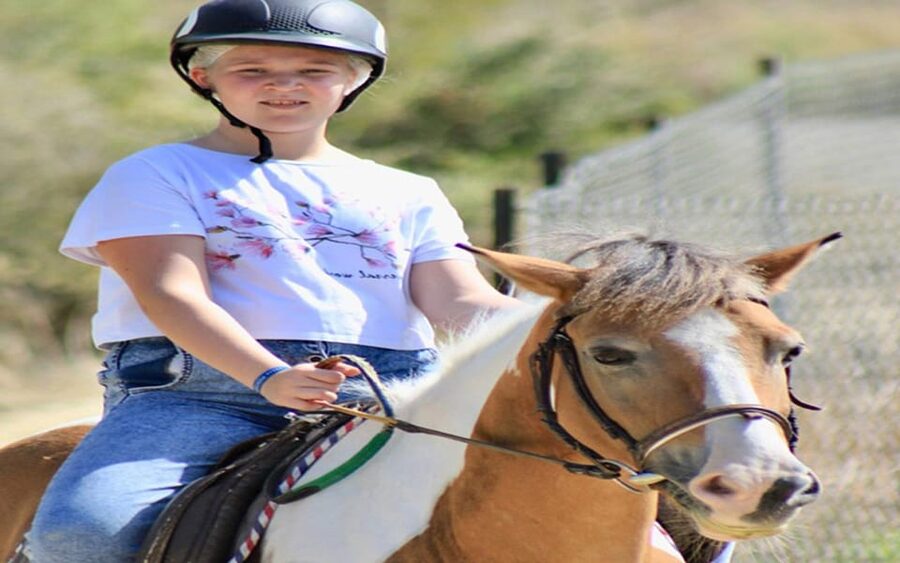 Side: Horse Safari Tour - Key points at a glance