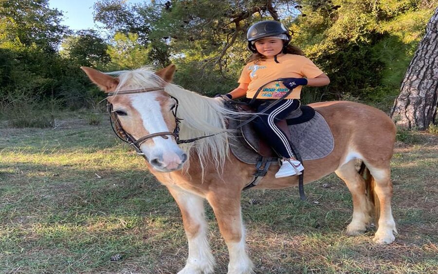 Side: Horse Safari Tour - Planning your day around the ride