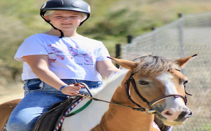 Side: Horse Safari Tour - A short lesson before you mount
