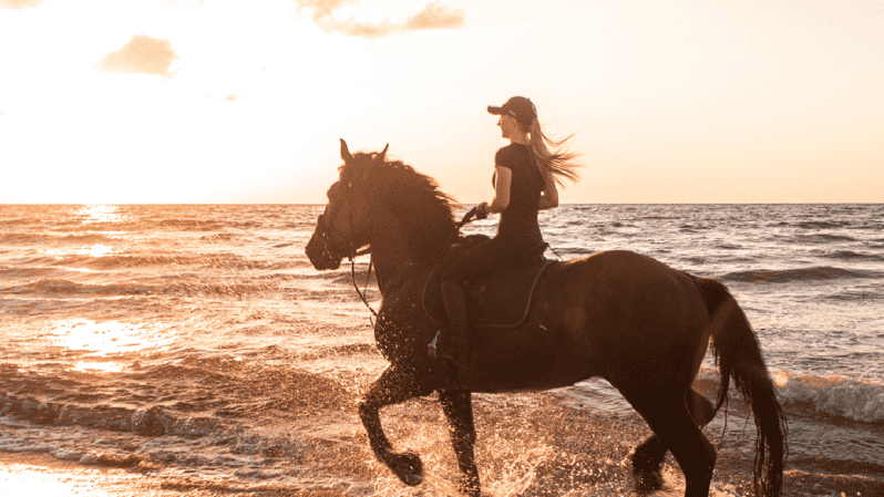 Side: Horseback Riding Tour in Nature - What happens before you mount