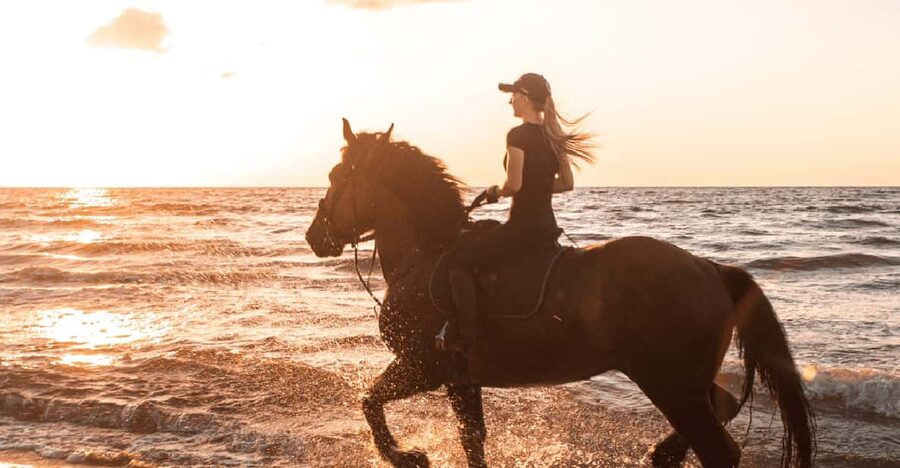 Side: Horseback Riding Tour in Nature - How the route feels on horseback