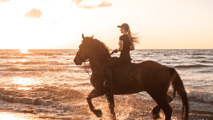 Side: Horseback Riding Tour in Nature - Is $58 a fair price?