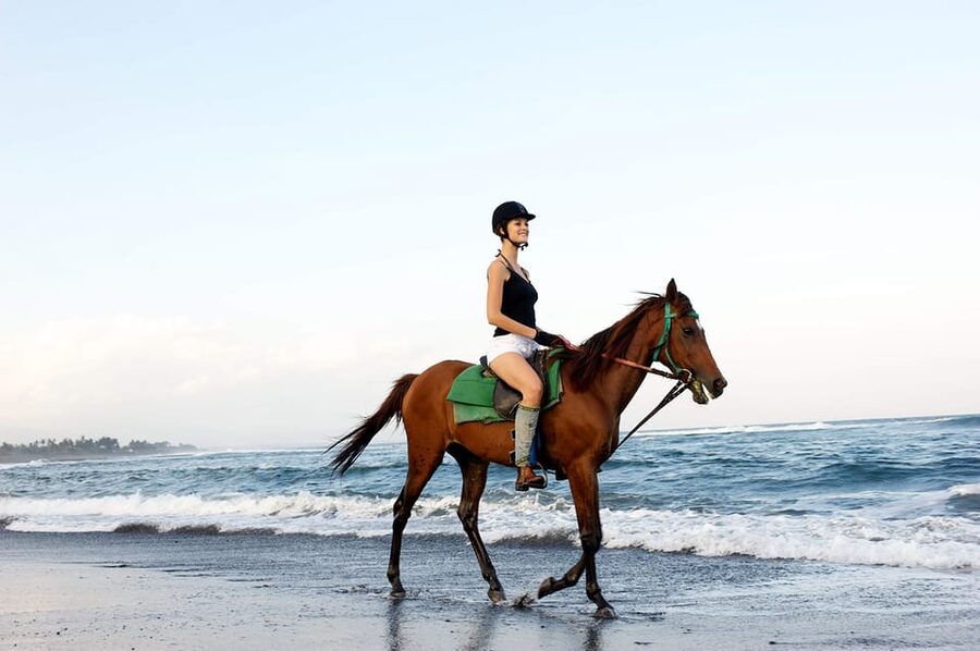 Side: Horseback Riding Tour in Nature - Who will enjoy this most
