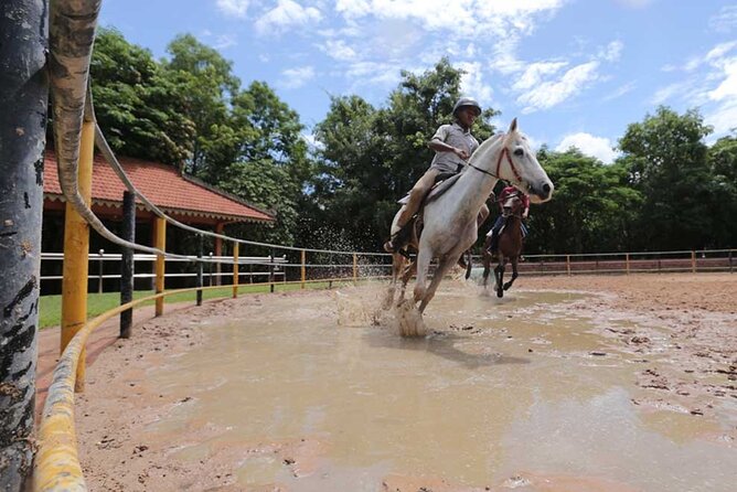 Siem Reap Happy Horse Riding Free Pick-up & Drop-off - Starting at Happy Shepherd Farm near Siem Reap