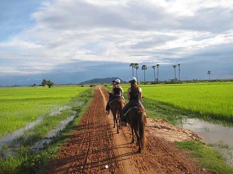 Siem Reap Happy Horse Riding Free Pick-up & Drop-off - Should you book the Siem Reap horse ride?