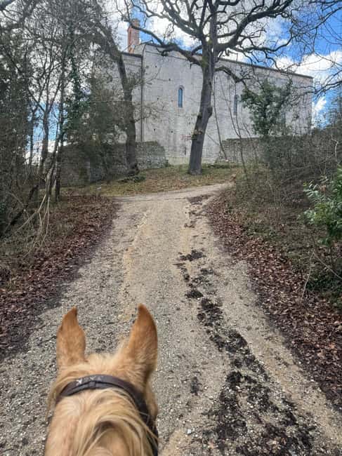 Siena: Horseback Riding on the Via Francigena - Leaving Siena for the Via Francigena