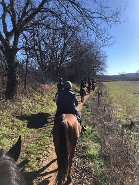 Siena: Horseback Riding on the Via Francigena - Through Montagnola Senese Park