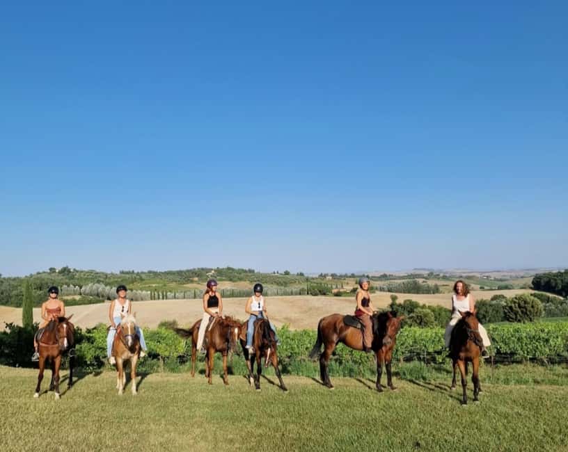 Siena: Horseback Riding Tour in the Tuscany Countryside - At a glance