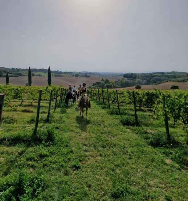 Siena: Horseback Riding Tour in the Tuscany Countryside - Riding through the Sienese countryside