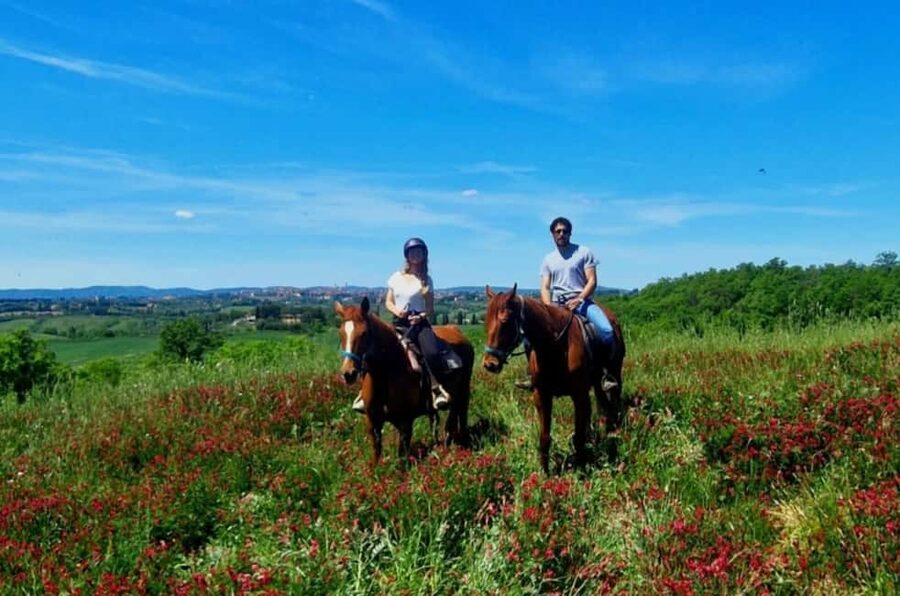 Siena: Horseback Riding Tour in the Tuscany Countryside - The one-hour route and its changing views