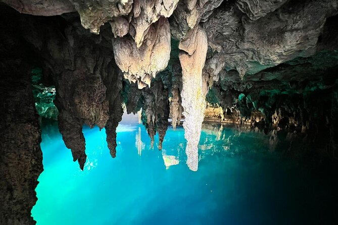 Single ATV, Horseback Riding, Ziplines and Cenote Swim - Lunch, tortillas, and drinks