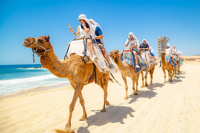 Sky Bike Free Camel Ride and Horseback Riding - What the $175 price really buys you