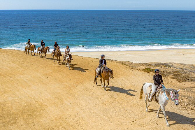 Sky Bike Free Camel Ride and Horseback Riding - Who will enjoy this best