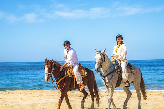 Sky Bike Free Camel Ride and Horseback Riding - Practical preparation for the three-hour outing