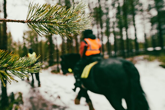 Small-Group Arctic Circle Horse Riding from Rovaniemi - Riding Irish Cobs 20 kilometers from Rovaniemi