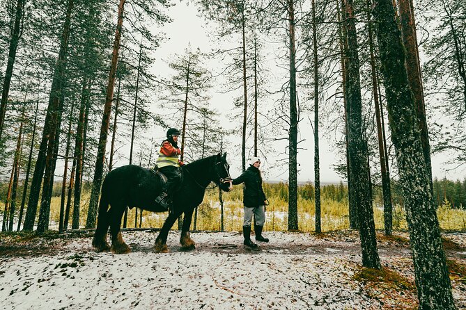 Small-Group Arctic Circle Horse Riding from Rovaniemi - A small group changes the experience