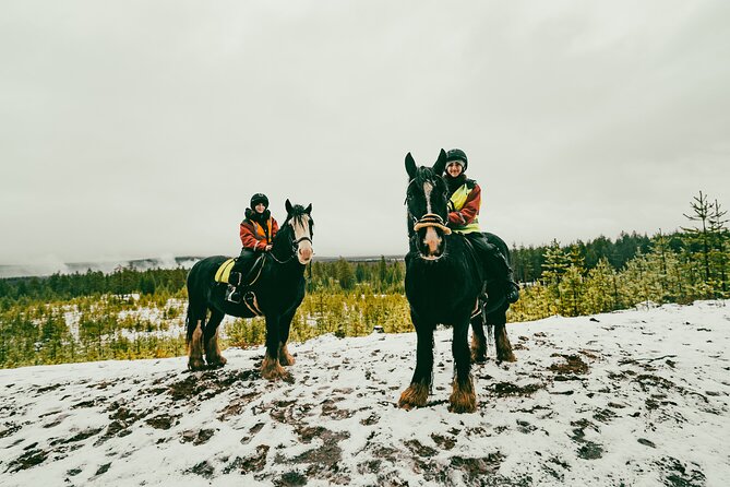 Small-Group Arctic Circle Horse Riding from Rovaniemi - Guides Jaime and Alberto