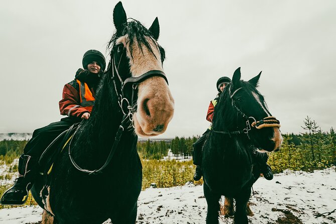Small-Group Arctic Circle Horse Riding from Rovaniemi - Who should book this horse ride?