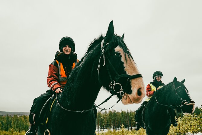 Small-Group Arctic Circle Horse Riding from Rovaniemi - Practical timing and booking advice