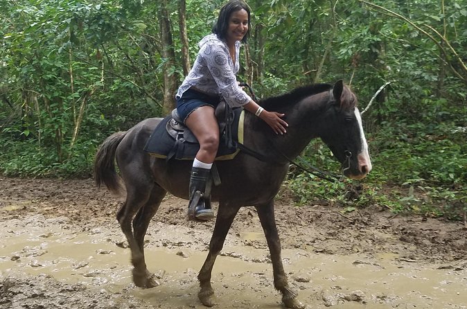 Small-Group Half-Day Horseback Riding Tour from Punta Cana - How much value do you get for $70?