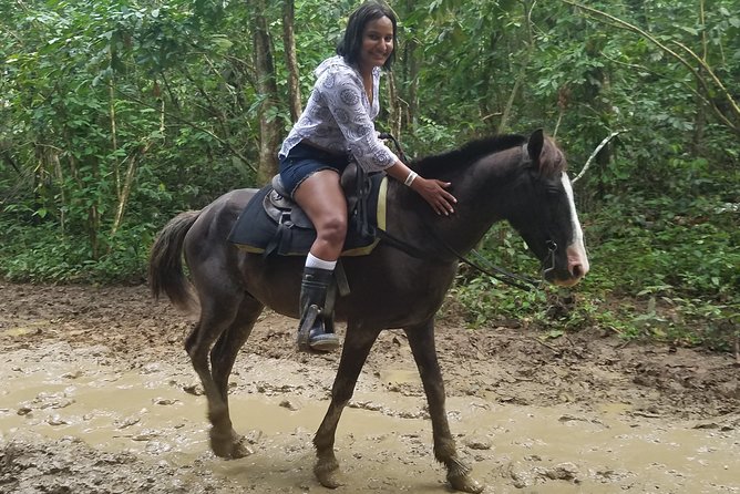 Small-Group Half-Day Horseback Riding Tour from Punta Cana - Meeting the horses and settling into the saddle