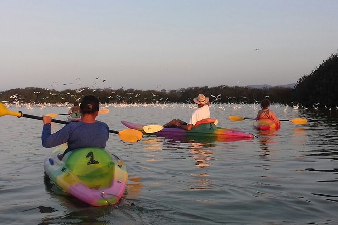 Small-Group Half-Day Kayaking and Horse Riding with Lunch - Why this half-day combination works