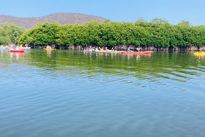 Small-Group Half-Day Kayaking and Horse Riding with Lunch - Moving on to Playa Larga for horseback riding