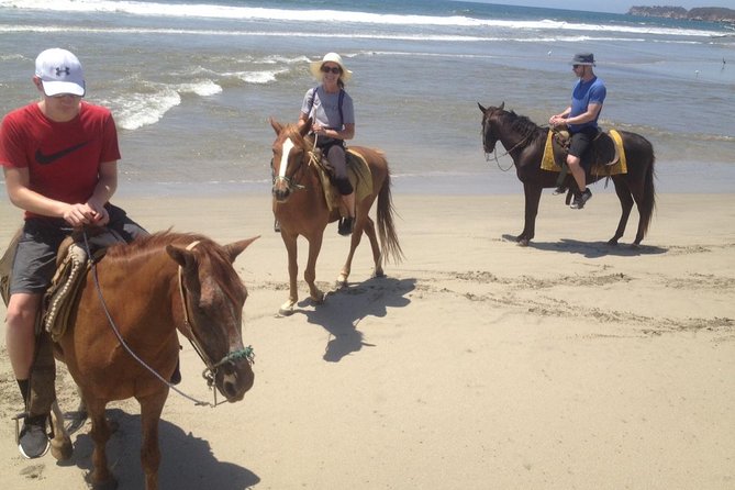 Small-Group Half-Day Kayaking and Horse Riding with Lunch - Physical demands and what to bring
