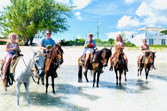 Small Group Horseback Riding Adventure in Caicos Islands - What the ride is really like