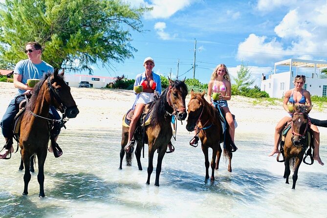 Small Group Horseback Riding Adventure in Caicos Islands - Gentle horses and a careful introduction
