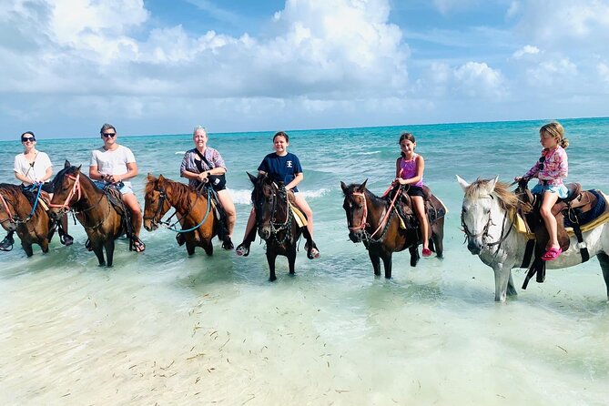 Small Group Horseback Riding Adventure in Caicos Islands - Pickup from your accommodation saves time
