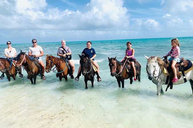 Small Group Horseback Riding Adventure in Caicos Islands - Special occasions get extra attention