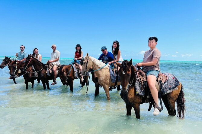 Small Group Horseback Riding Adventure in Caicos Islands - Who should book this ride?
