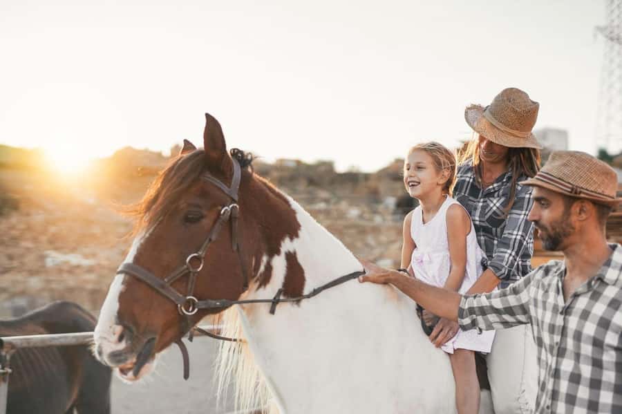 Soma Bay: Horse Riding Beach and Desert Tour With Transfer - Key points at a glance