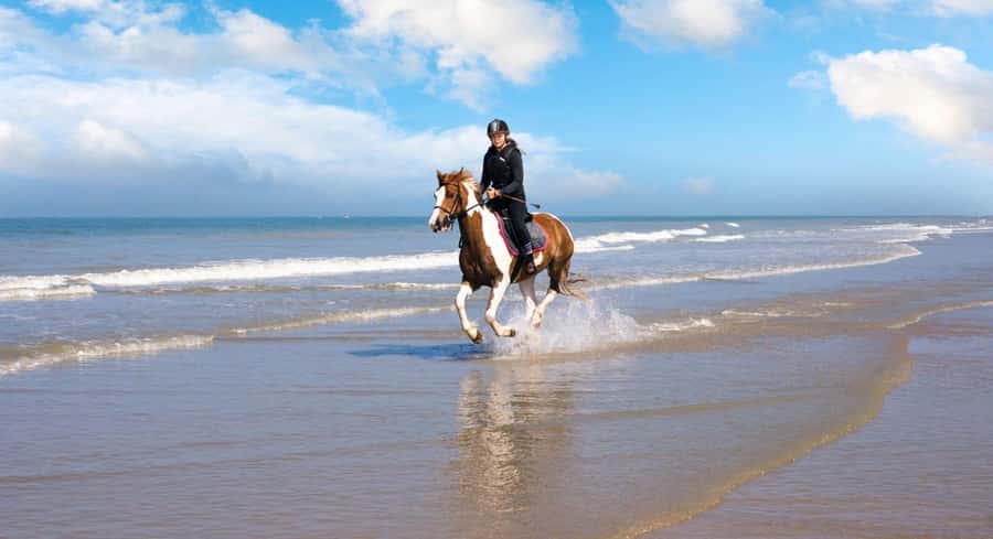Soma Bay: Horse Riding Beach and Desert Tour With Transfer - Crossing the desert on horseback