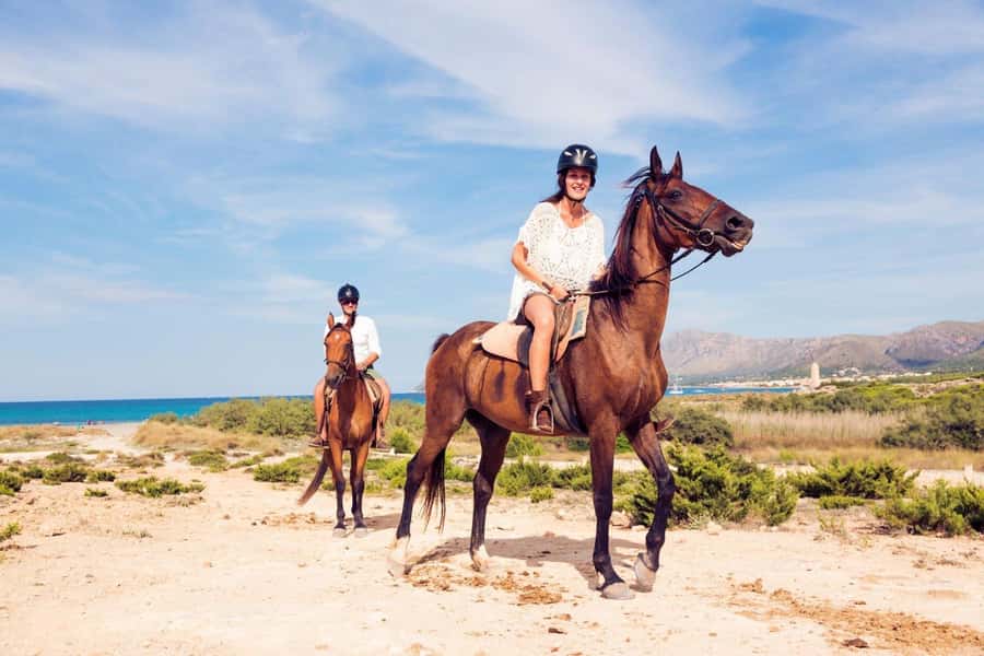 Soma Bay: Horse Riding Beach and Desert Tour With Transfer - Riding beside the Red Sea