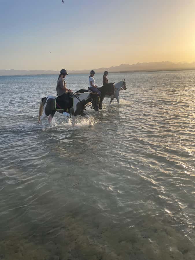 Soma Bay: Horse Riding Beach and Desert Tour With Transfer - Guides, photos, and the human side of the ride