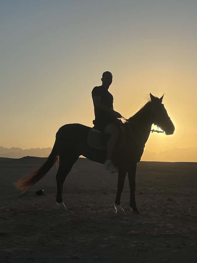 Soma Bay: Horse Riding Beach and Desert Tour With Transfer - What the $20 price really covers